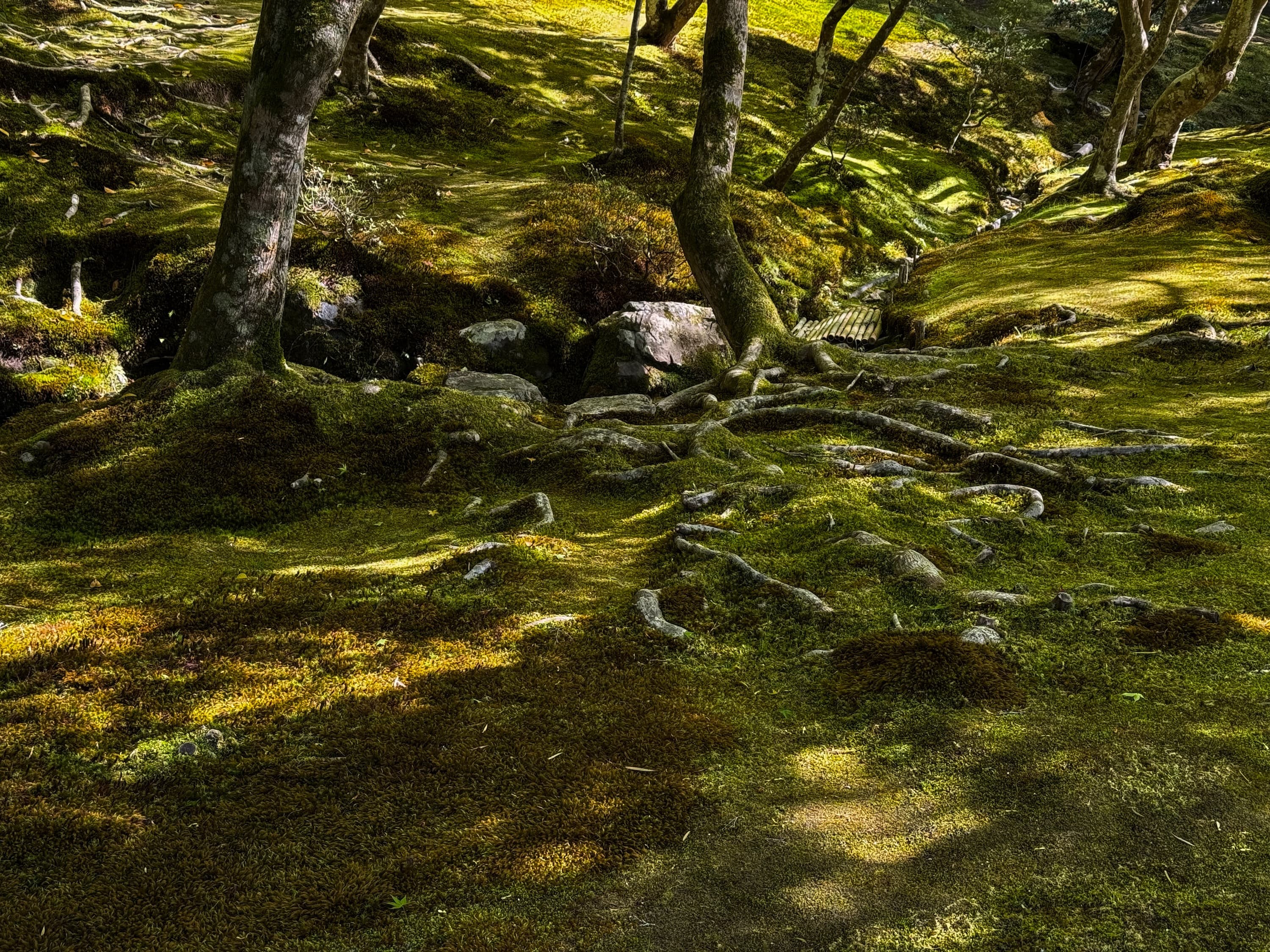 Landscape photograph 2