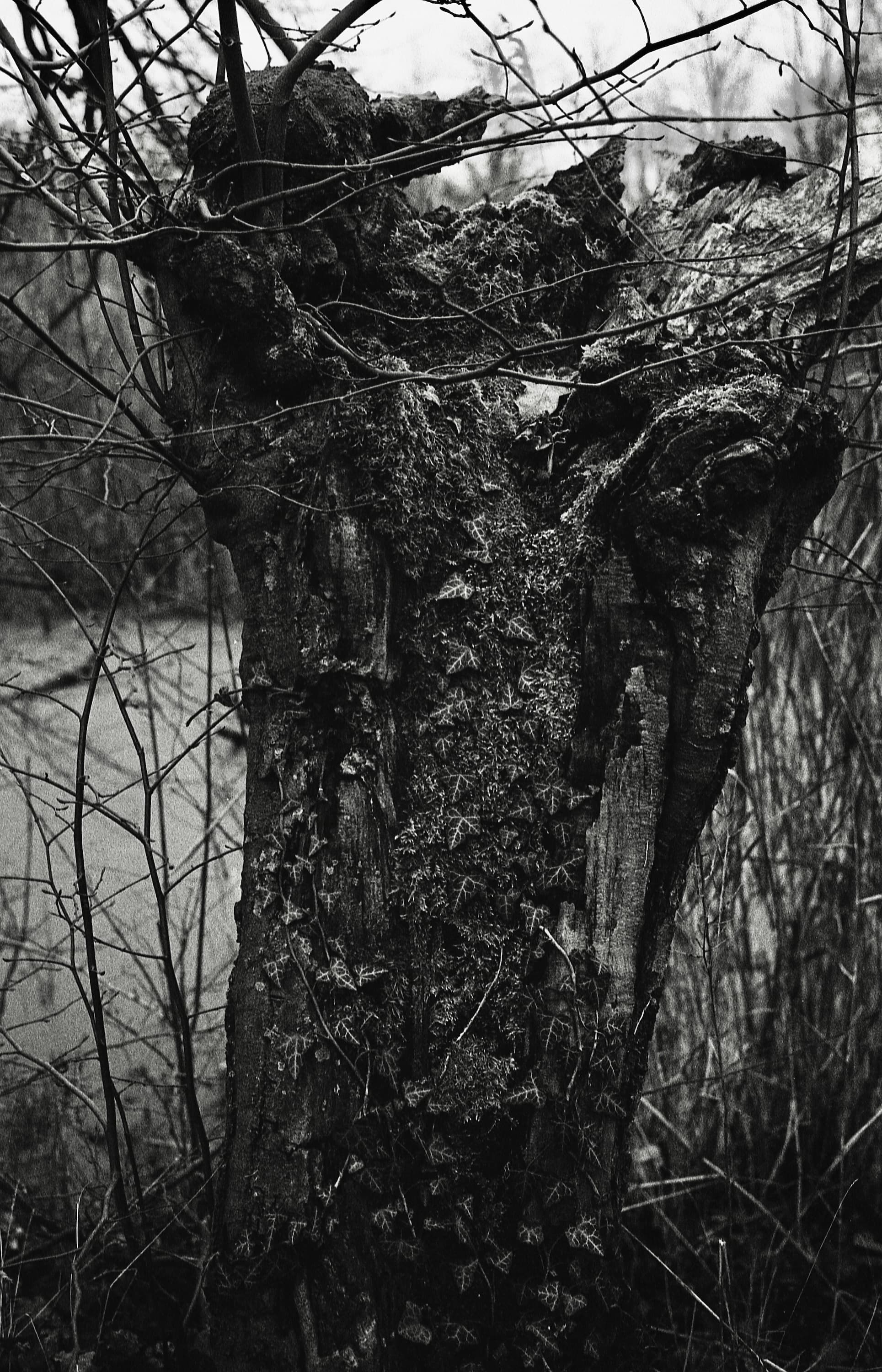 Landscape photograph 3