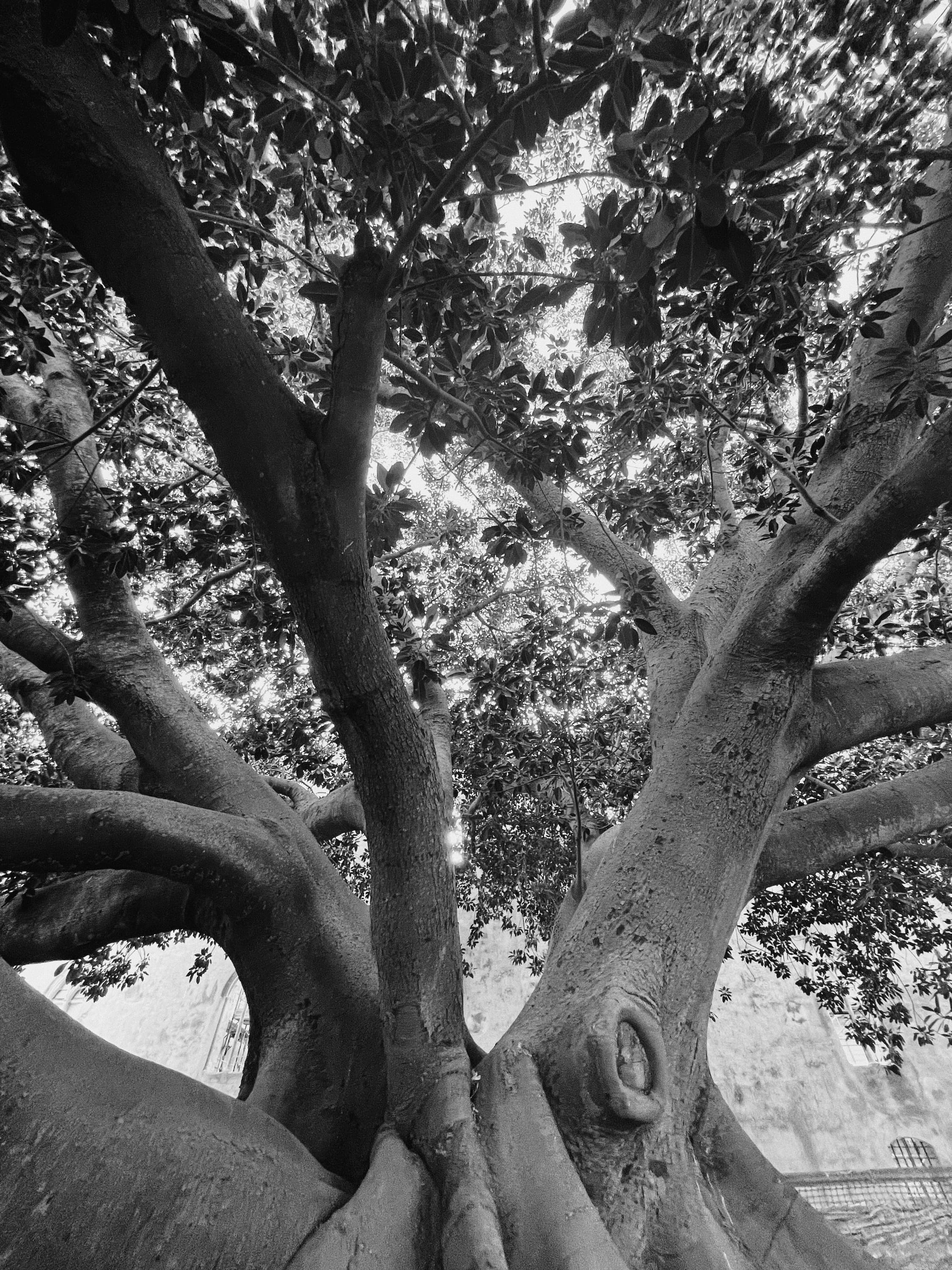 Landscape photograph 6