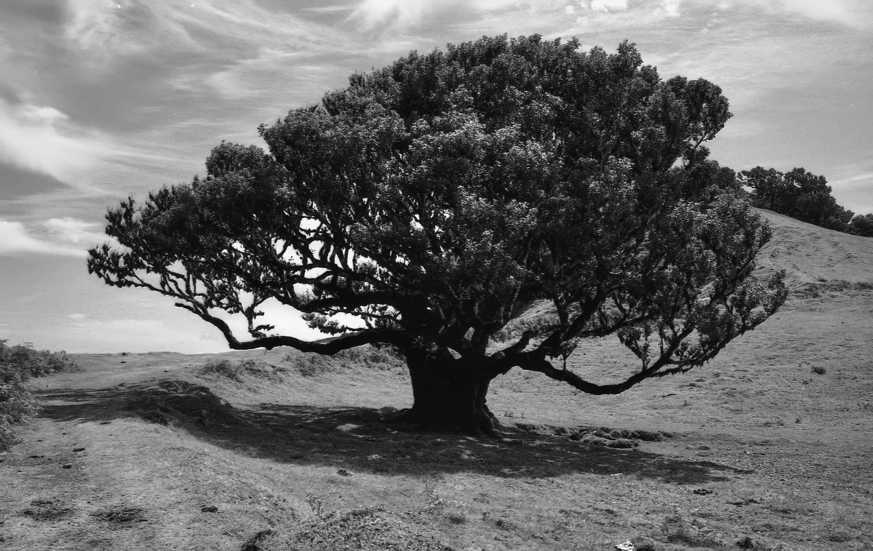 Landscape photograph 8