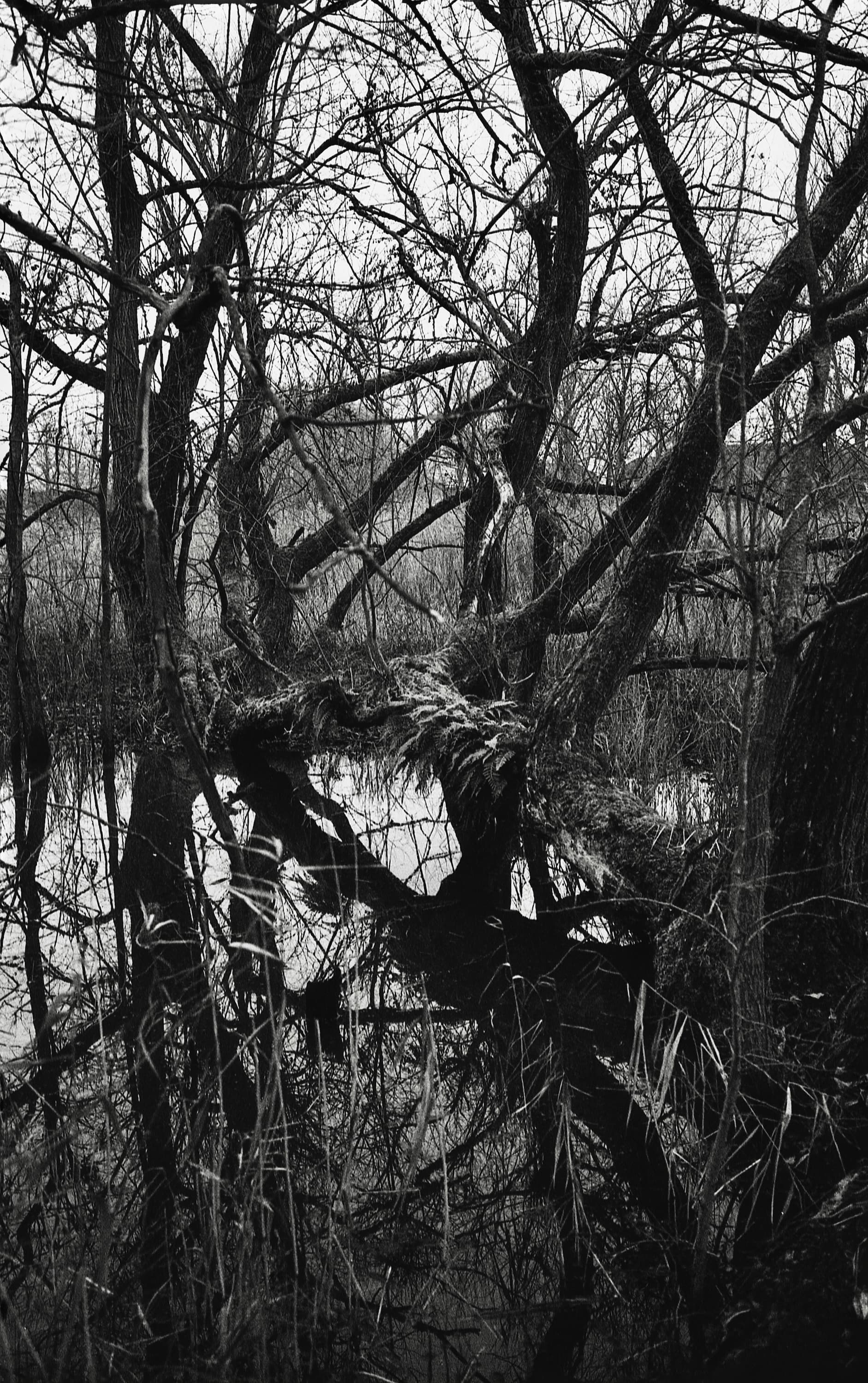 Landscape photograph 12