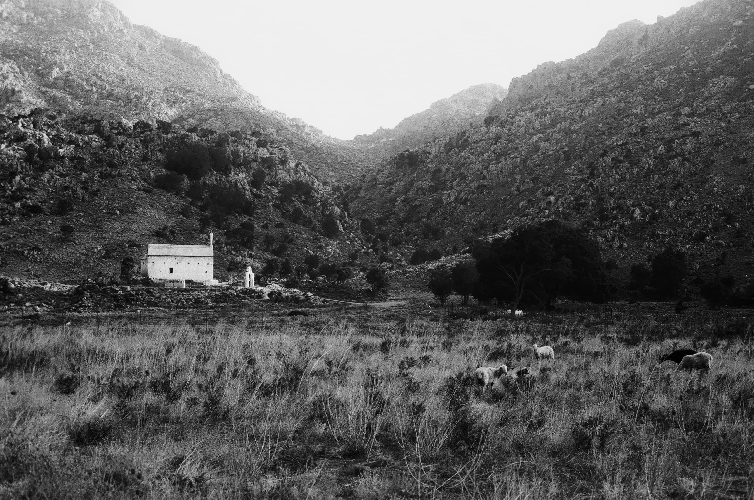 Landscape photograph 14